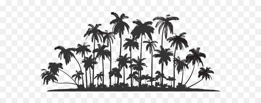 Palm Tree Service Oahu - Row Of Palm Trees Silhouette Png,Palm Tree Silhouette Png