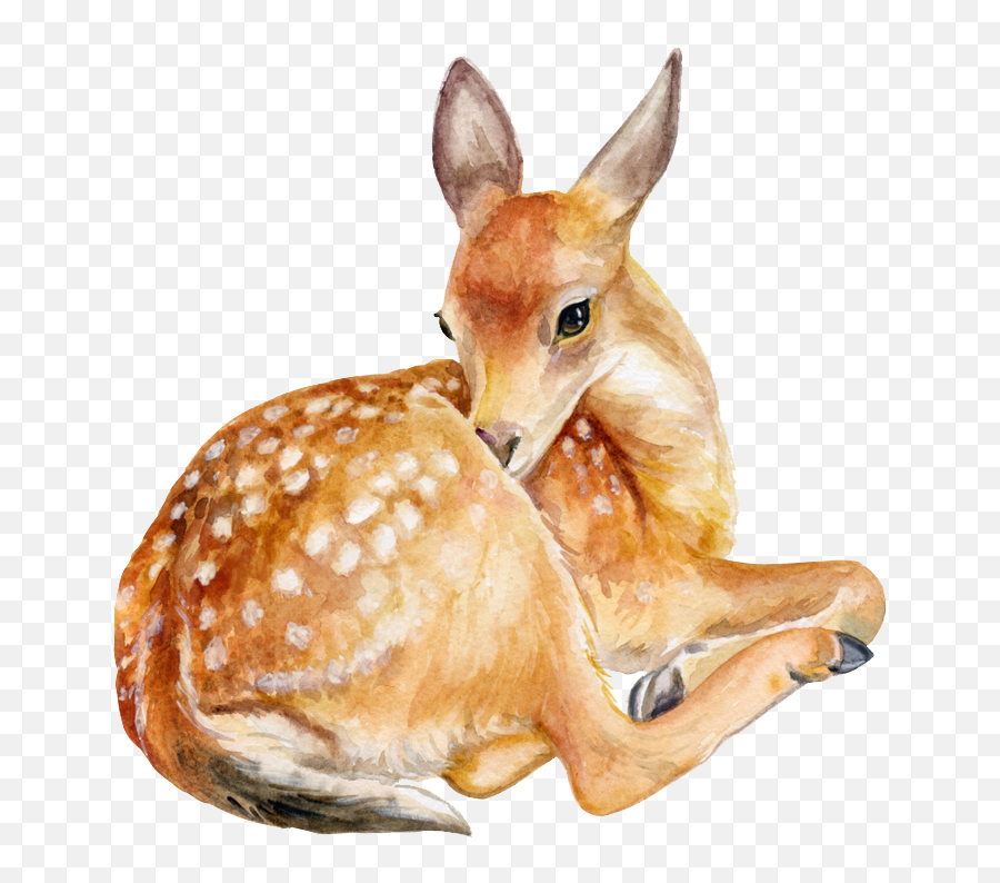 Download Deer Png Image - Sitting Deer Png,Deer Png