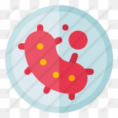 Germs - Free education icons Illustration png