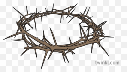 Crown Of Thorns Illustration - Espinas png