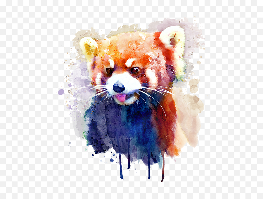 Download Bleed Area May Not Be Visible - Watercolour Red Panda Painting Png,Red Panda Transparent