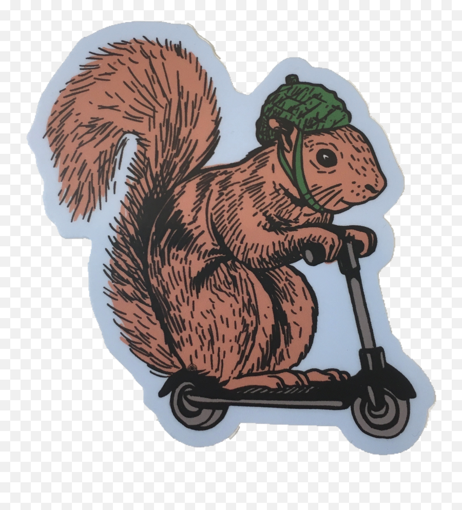 Squirrel - Squirrel Sticker Png,Squirrel Transparent