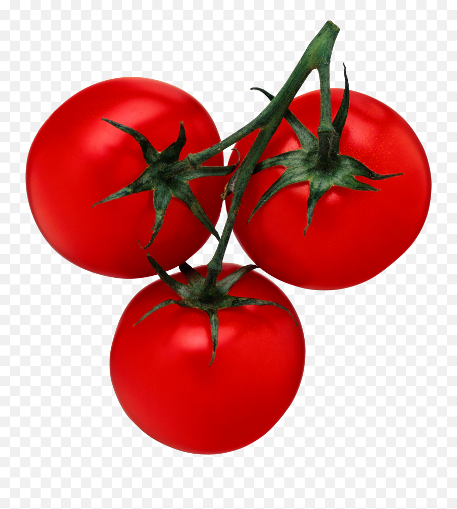 Tomato Png Free Download 31 - Tomatoes Pdf,Tomato Png