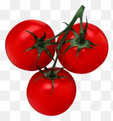 Tomato Png Free Download 31 - Tomatoes Pdf