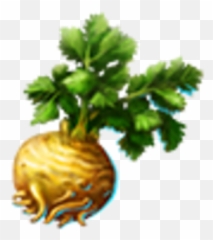 Wild Celery Dreamfields Wiki Fandom - Christmas Tree Png,Celery Png