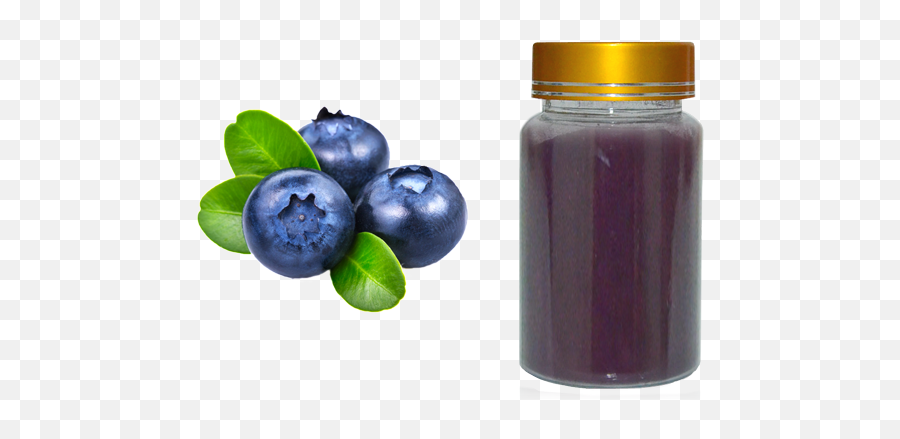 Blueberry Extract - Transparent Background Blueberry Png,Blueberry Png