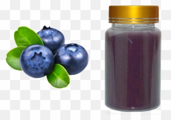 Blueberry Extract - Transparent Background Blueberry Png,Blueberry Png
