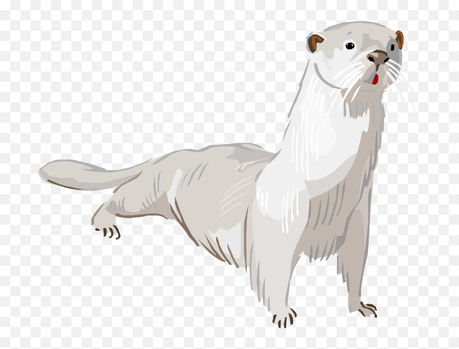 Otter Png Transparent - Ferret,Otter Png