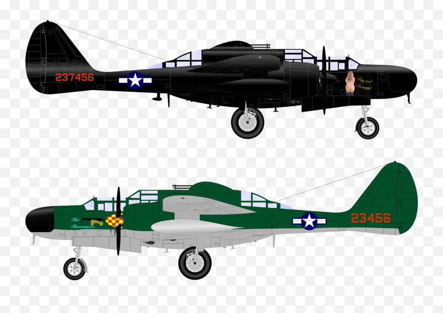P 61 Black Widow Clipart - Jet Png Public Domain,Black Widow Transparent