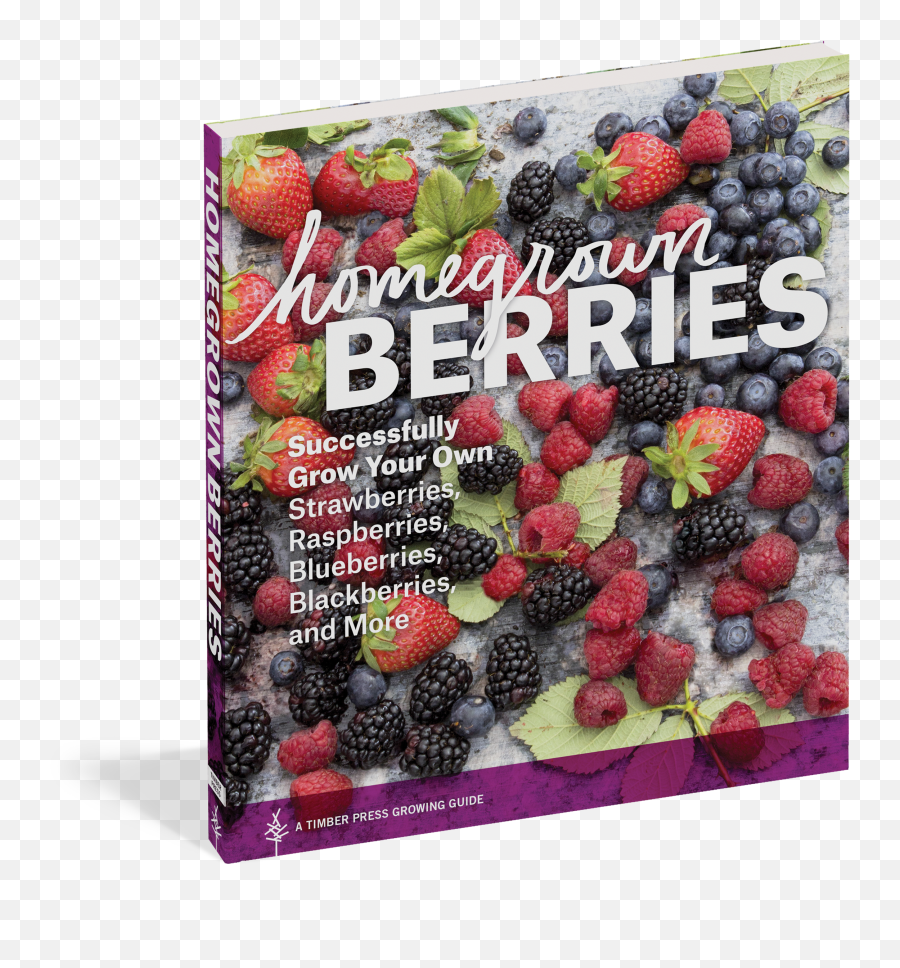 Download Hd Homegrown Berries - Homegrown Berries By Timber Blueberries Supermarket Png,Blackberries Png