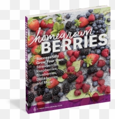 Download Hd Homegrown Berries - Homegrown Berries By Timber Blueberries Supermarket Png,Blackberries Png