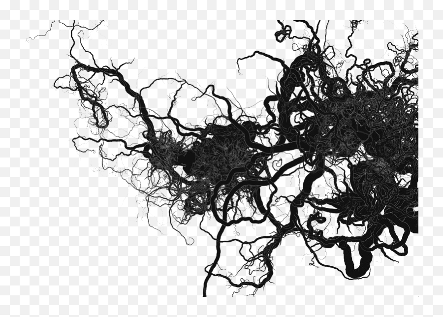 Veins Png File - Human Veins Black And White,Veins Png