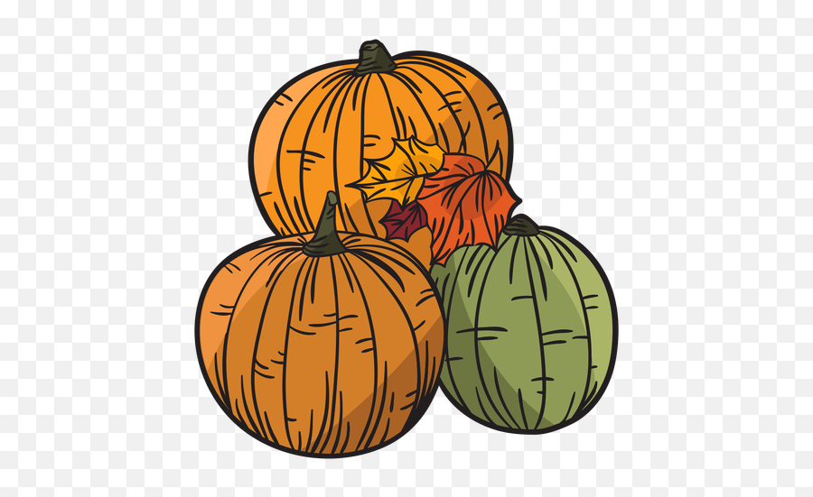 Hand Drawn Pumpkin - Hand Drawn Pumpkin Png,Thanksgiving Pumpkin Png