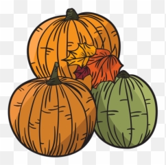 Hand Drawn Pumpkin - Png