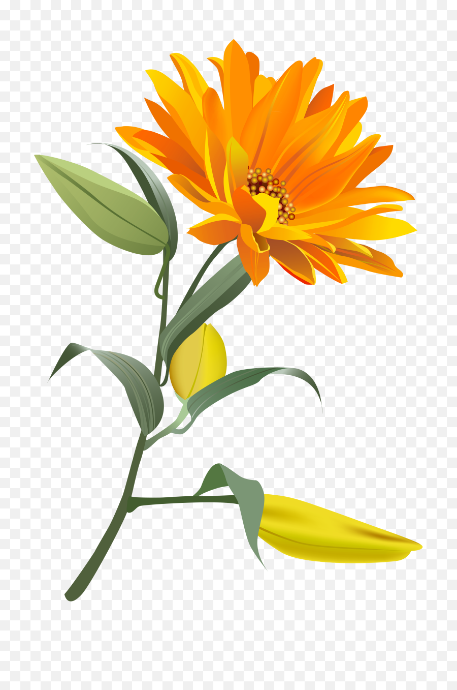 Free Png Download Orange Flower Images Background - Orange Flower Clipart,Yellow Flower Transparent Background