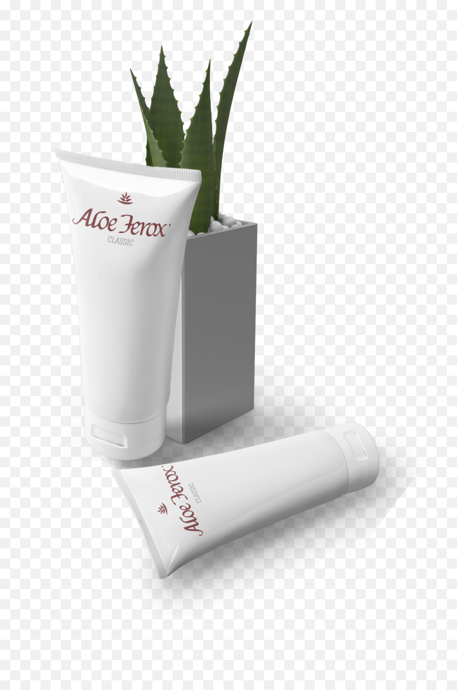 Aloe Ferox Products Beauty And Health Iamferox - Agave Png,Aloe Vera Plant Png