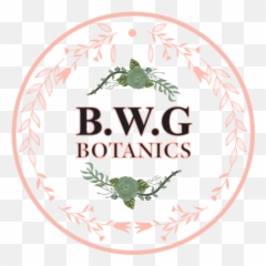 The Selfcare Blog U2014 Bwg Botanics - Fines Herbes png