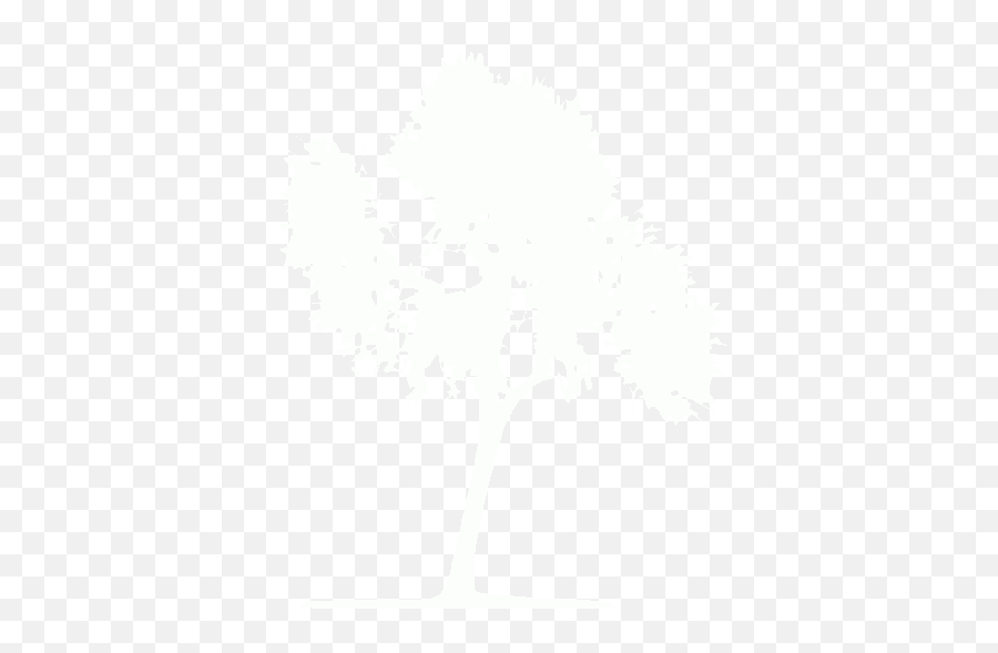 White Tree 33 Icon - Free White Tree Icons Language Png,White Tree Icon