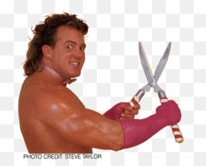 Mid - OHIO FANTASY WRESTLING May 2011 Classic Wwf Wrestlers png