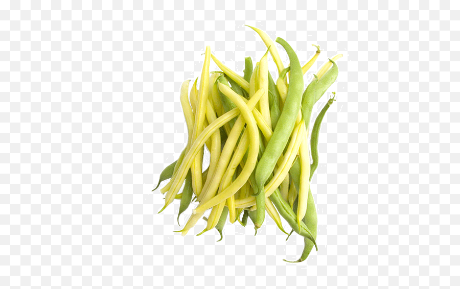 Green Beans - Eatnakedla Yellow Green Beans Png,Green Beans Png