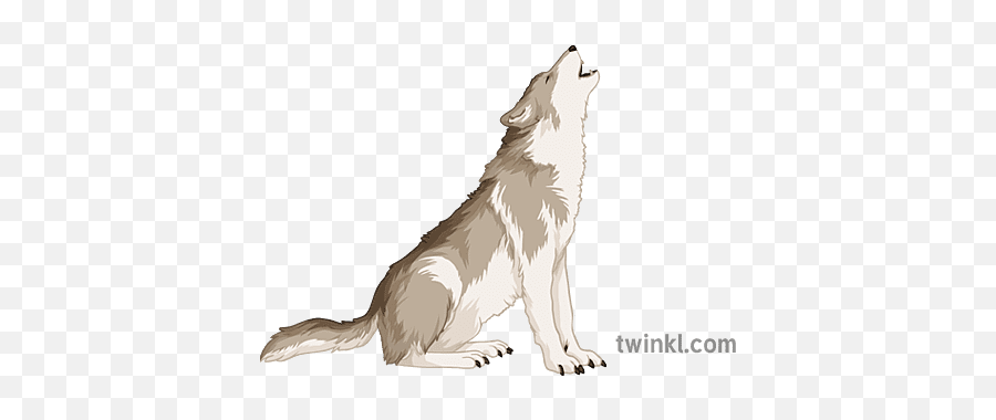 Wolf Howling General Animal Wild Fairytale Secondary - Twinkl Wolf Png,Wolf Howl Icon