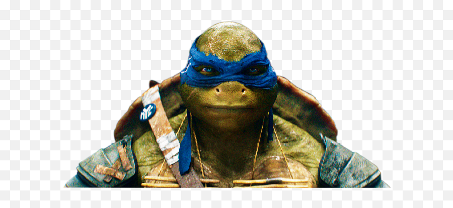 Ninja Turtles Transparent Png File Web Icons - Teenage Mutant Ninja Turtles,Teenage Mutant Ninja Turtles Png