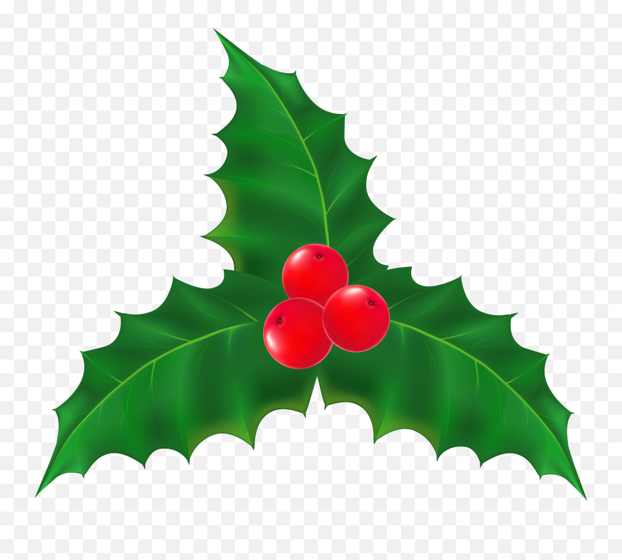Library Of Christmas Ivy Clip Art Royalty Free Png