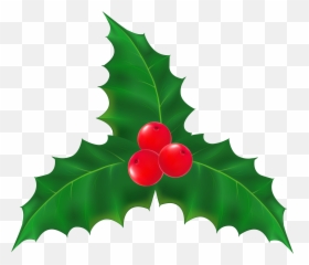 Library Of Christmas Ivy Clip Art Royalty Free Png