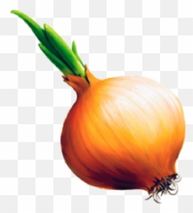 Onion Png Free Download 20 - Jokes About Translators,Onion Png