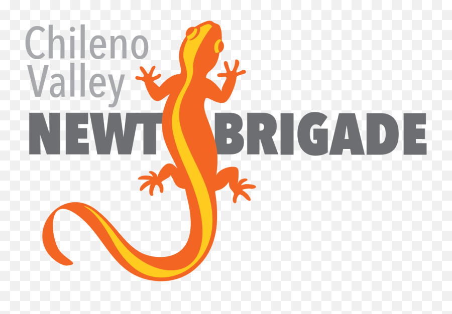 Chileno Valley Newt Brigade - Language Png,Salamander Icon
