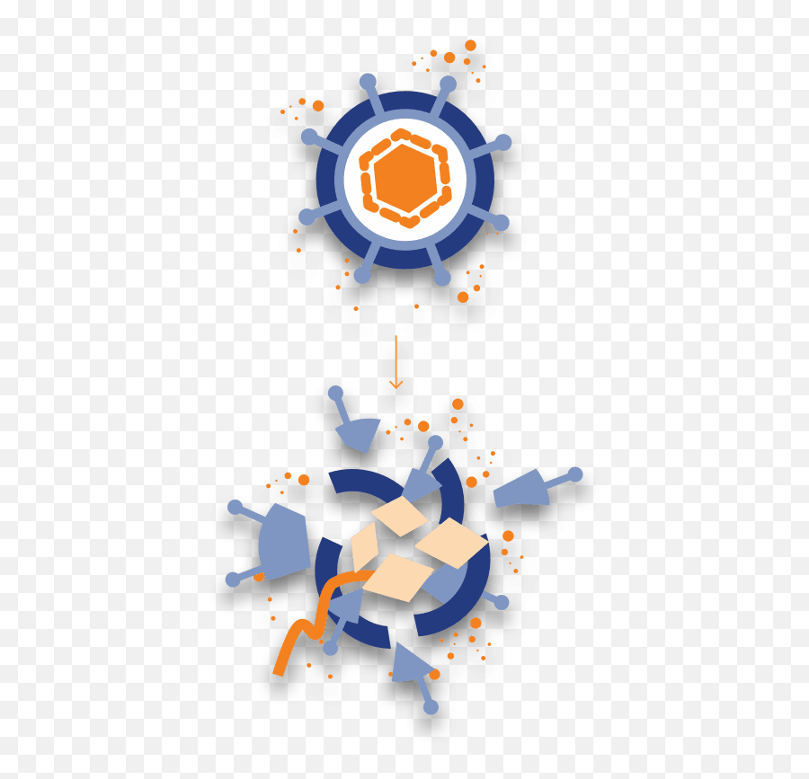 Httpswwwgammagardcomprimary - Immunodeficiency Dot Png,Hundred Folder Icon