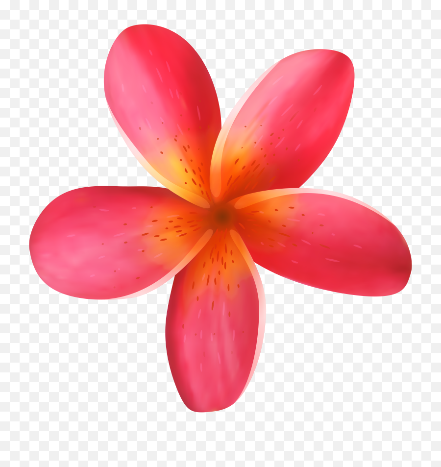 Tropical Flowers - Tropical Flower Clipart Png,Hawaiian Flowers Png
