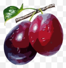 Cart Png Images Icon Cliparts - Page 5 Download Clip Art Aloo Bukhara Fruit Benefits,Red Plum Icon