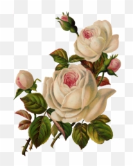 Png Vintage Flowers - Flower Art Png