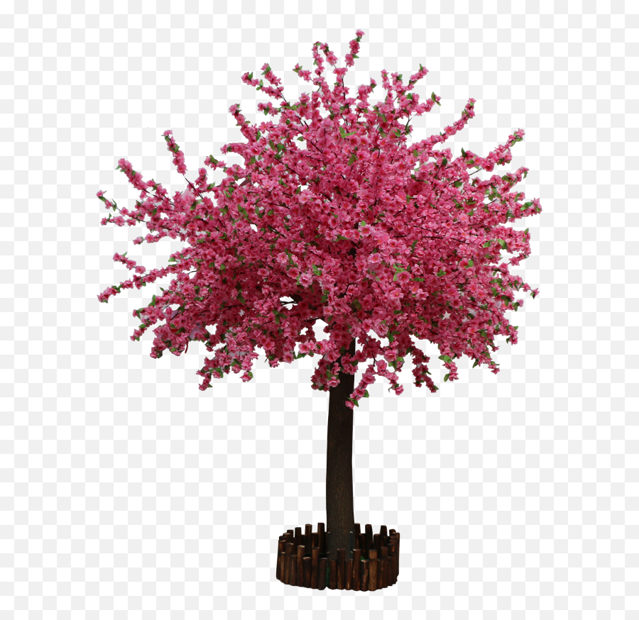 Simulation Peach Tree Plum Large Plant - New Mexico Maple Png,Cherry Blossom Tree Png