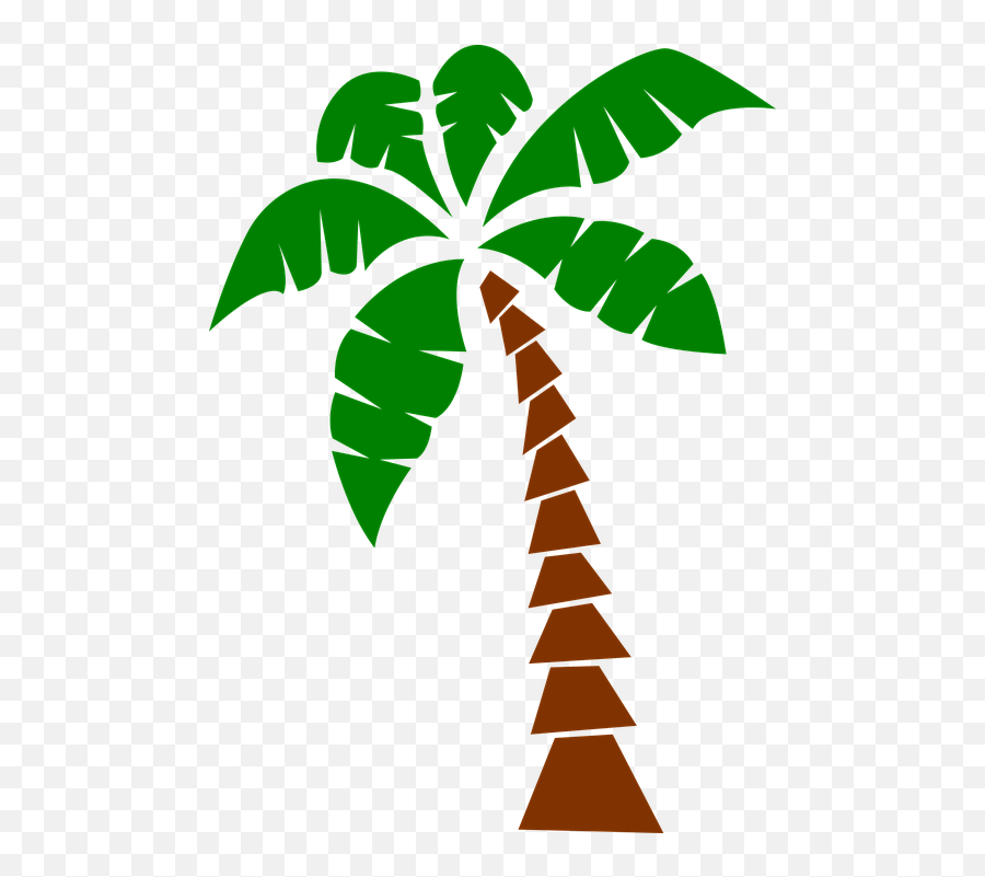 Palma Png - Palm Tropical Palma Tropical En Png 3610489 Palma Png,Palm Frond Png