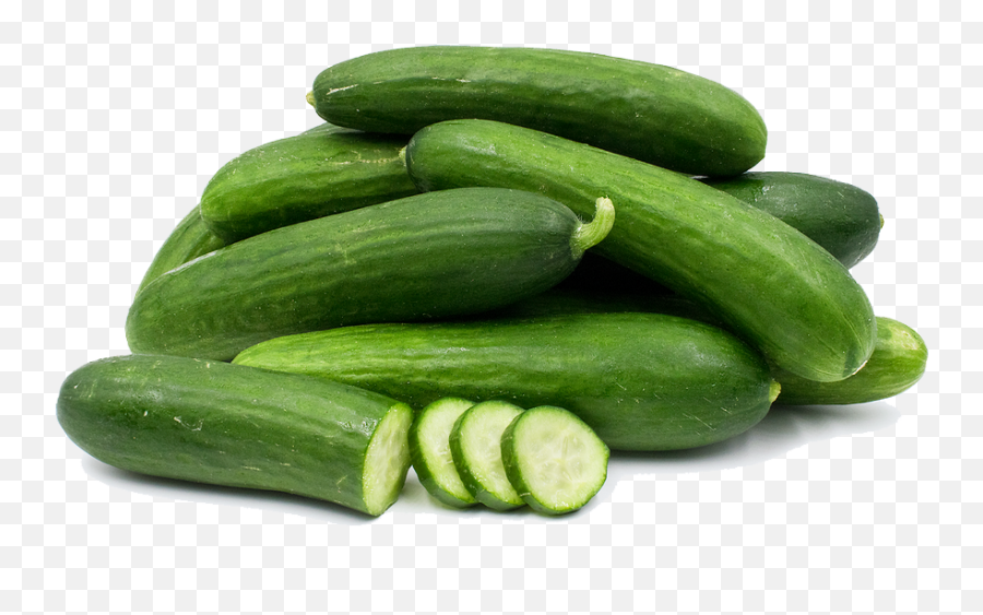 Download Cucumbers Png Photos 113 - Free Transparent Png Cucumbers Png,Gourd Png