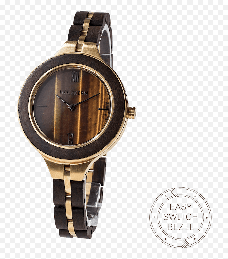 Einstein Leadwoodtigeru0027s Eye - Analog Watch Png,Einstein Png