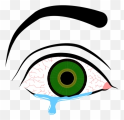 Projects Jordan C - Clip Art png