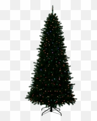 Transparent Background Hq Png Image - Christmas Tree With No Decorations