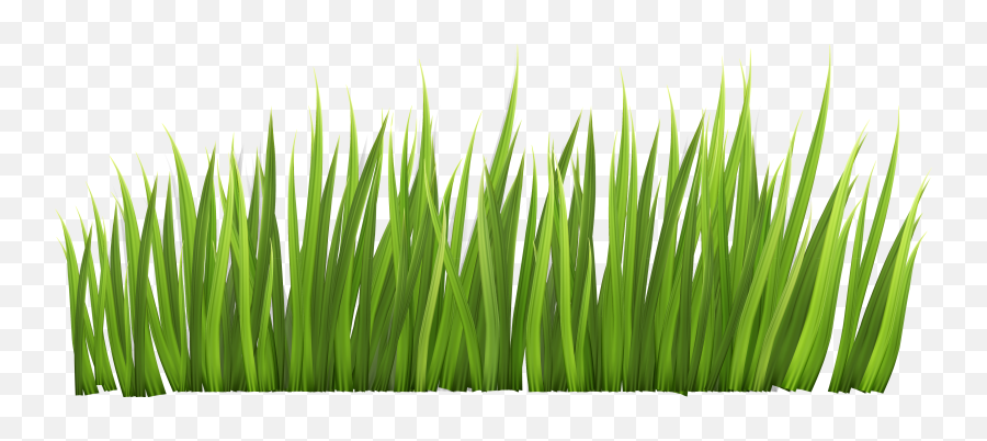 Free Cartoon Grass Transparent - Rumput Png,Cartoon Grass Transparent