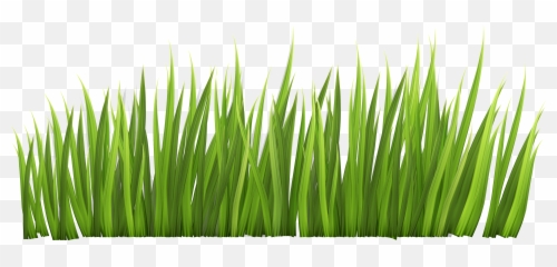 Free transparent cartoon grass png images, page 1 