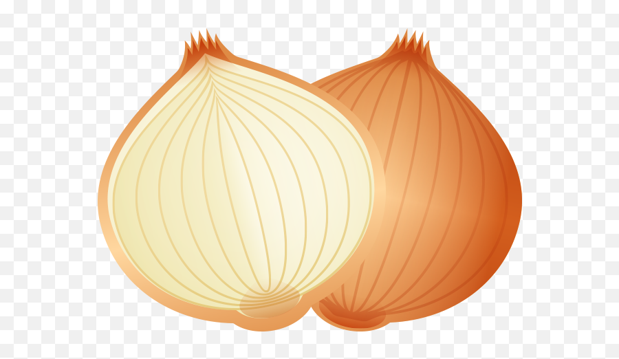 Onion Cartoon - Cartoon Food Onion Png Download 800800 Cartoon Onion Clip Art,Onion Transparent Background
