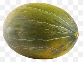 Melon Transparent Png Image Web Icons