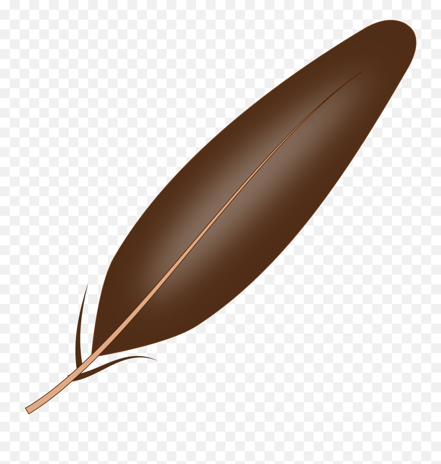 Turkey Feather Clip Art 9 Png - Clipartix Turkey Feather Png,Black Feathers Png