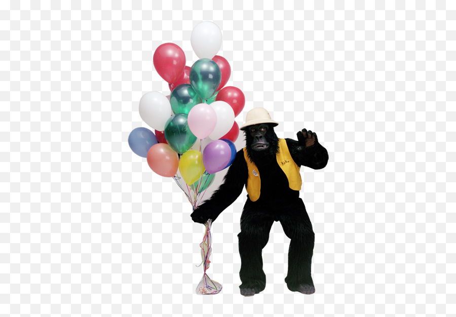 Balloon Magic Getaballoon Gorilla Gram - Gorilla With A Balloon Png,Up Balloons Png