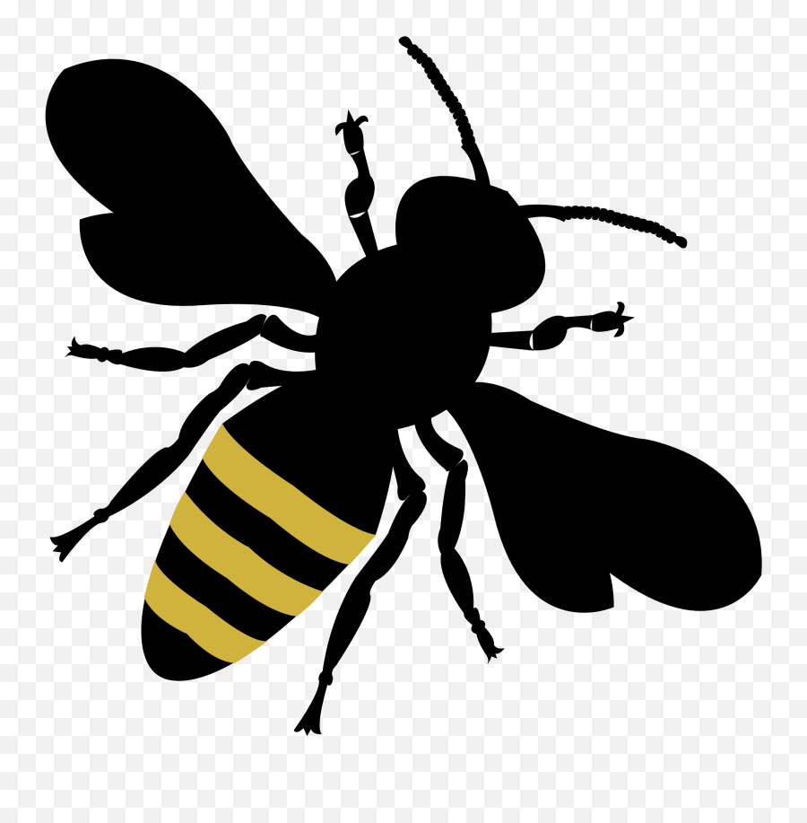 The Dying Bees - Drh Lindersvold Bee Png,Bee Png