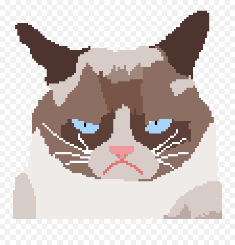 Grumpy Cat - Domestic Shorthaired Cat Full Size Png Domestic Cat,Grumpy Png