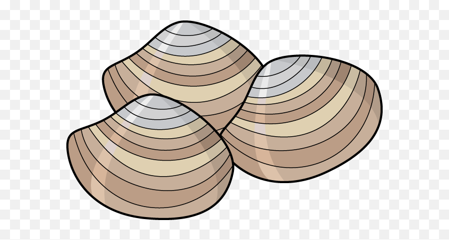 Clam Clipart Png - Clam Clipart,Oysters Png
