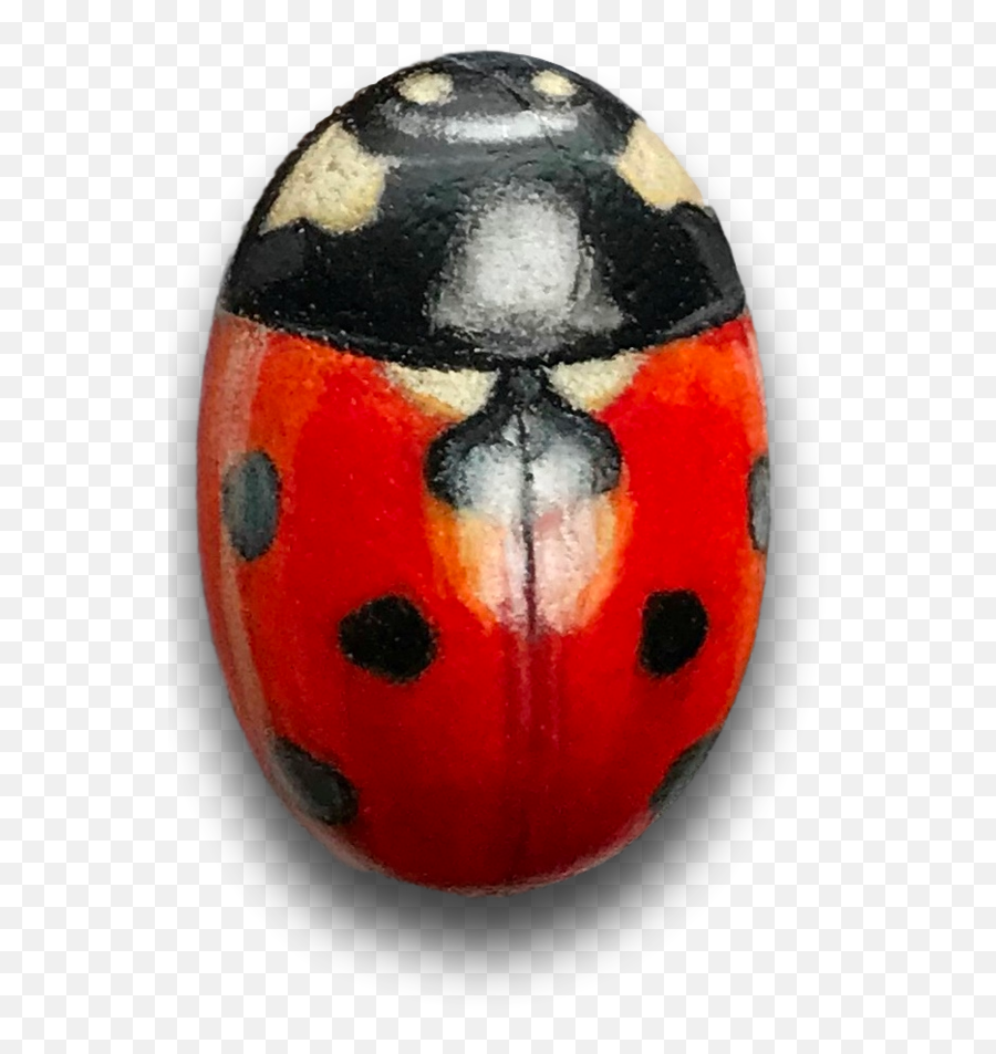 Chickadeerocksu2014ladybug - Ladybird Beetle Png,Transparent Ladybug